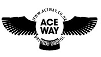 Aceway Driving School 621401 Image 0